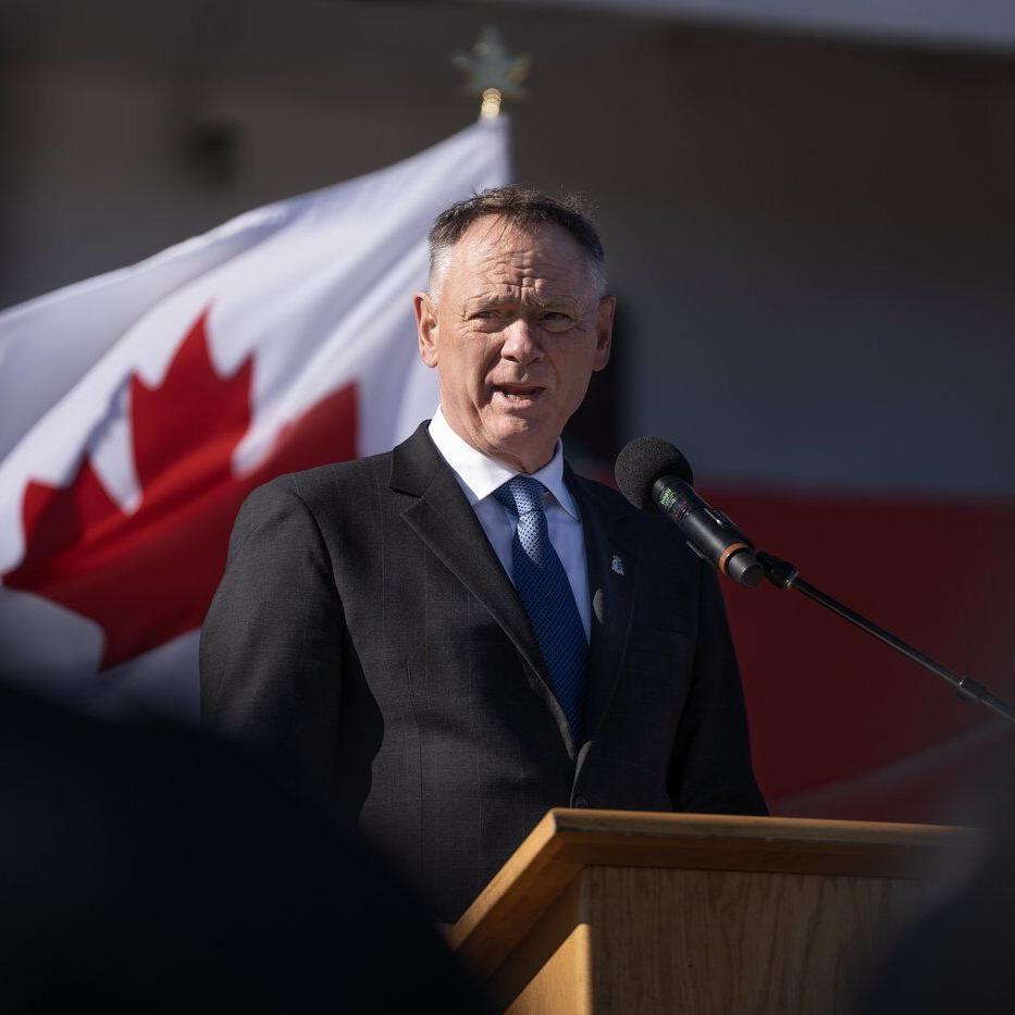 McGuinty says Canada's first defence industrial strategy will land weeks after budget